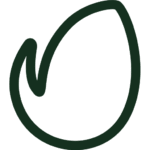 Envato - انفاتو